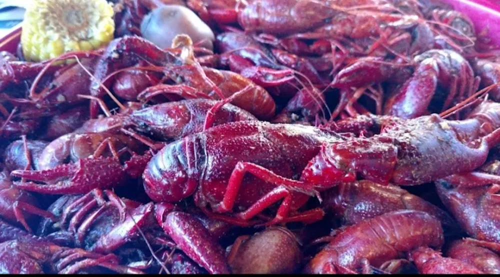 Crawfish vs And